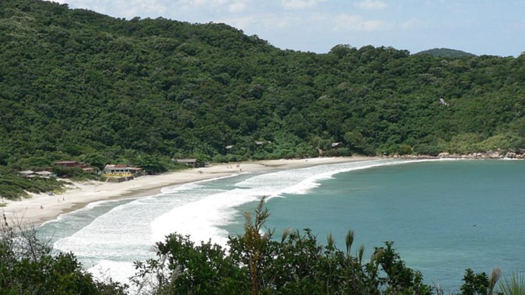 Praia de naufragados - Santa Catarina